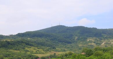 Uska odeca