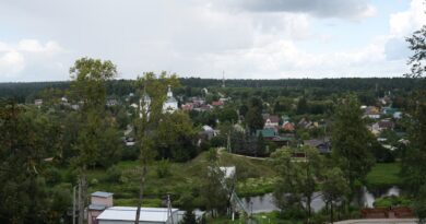 Forenzička analiza potvrdila autentičnost snimka Željke Cvijanović