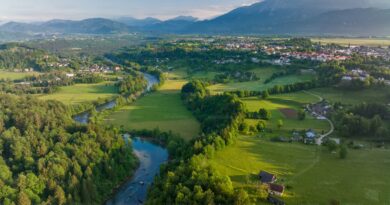 DVIJE OSOBE porijeklom IZ BiH izgubile život u masakru u Grazu, jedna osoba teško povrijeđena