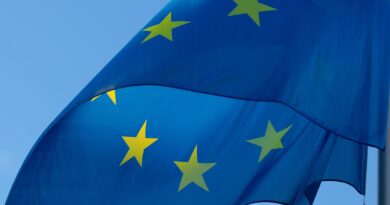 Vučić demantovan: EU javno opovrgla tvrdnju o „dugom razgovoru“ s fon der Lajen