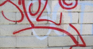 Astrologija i finansije: Letnje promene za Ovna, Raka i Vagu