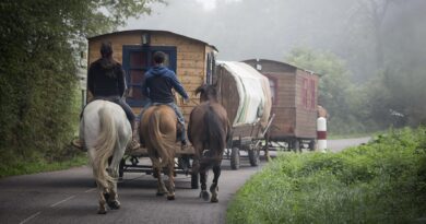 Iz tame do nade: Kako je Rada pronašla novi početak nakon godina borbe