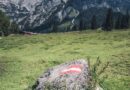 Zvanični izvještaj o avionskoj nesreći kod Zell am See: Ljudska greška uzrok pada letjelice