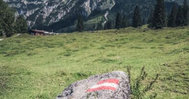 Zvanični izvještaj o avionskoj nesreći kod Zell am See: Ljudska greška uzrok pada letjelice