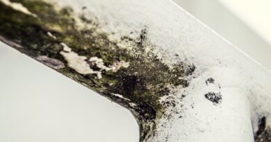💧 Imate problem sa vlagom i buđi? Ove biljke mogu da pomognu!