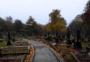Vesna Zmijanac: Iskrenost, umetnost i pogled unazad