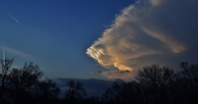 🌞 Ljeto i visoke temperature: Kako se zaštititi i sačuvati zdravlje