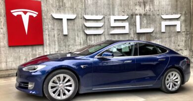 Elon Musk Upozorava: Da li je Pad Nataliteta Tiha Kriza Savremenog Društva?