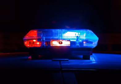 Mala heroina iz Klivlenda: Osmogodišnjakinja koja je spasila majci život Mala heroina iz Klivlenda: Osmogodišnjakinja koja je spasila majci život