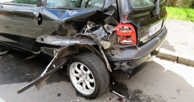 Tragedija na Novom Beogradu: Poruka o važnosti poštovanja saobraćajnih pravila