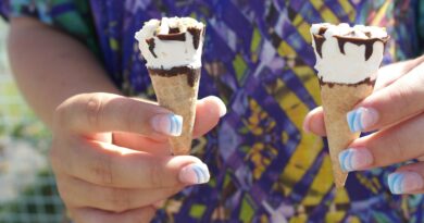 Kako je jedno iznenađenje u sladoledu promenilo naš porodični život