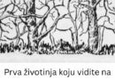 Vizuelni testovi ličnosti: Šta otkriva prva životinja koju vidite na ilustraciji