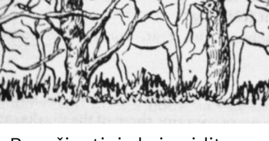 Vizuelni testovi ličnosti: Šta otkriva prva životinja koju vidite na ilustraciji Vizuelni testovi ličnosti: Šta otkriva prva životinja koju vidite na ilustraciji