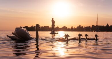 Tišina koja je postala glas – priča o ženi koja je odbila da bude nevidljiva
