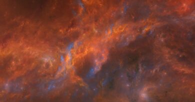 Životna prekretnica za Škorpije: Zašto narednih 7 dana donose veliku finansijsku šansu