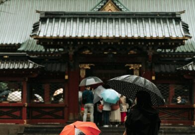 Kada jedan trenutak promeni sudbinu: priča o Isabelli Reed i izgubljenom sinu