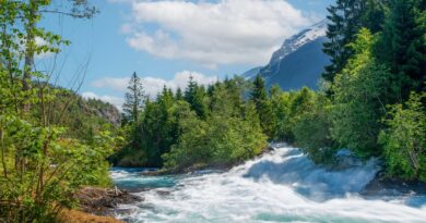 Dijete rijeke: Priča o ljubavi, zajedništvu i snazi života