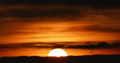 Otac koji je ćutao — a govorio najviše: Lekcija koju sam shvatio tek kad je bilo vrijeme