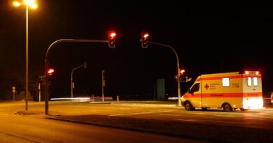 Mogući uzroci nesreće u kojoj su poginuli Ana Radović i Aleksandar Masalušić