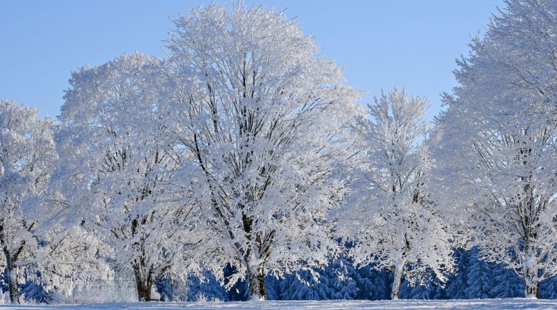 Najsretniji dani u prosincu 2025.: Obratite pažnju na ova četiri datuma