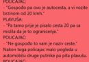 Policajac i plavusa