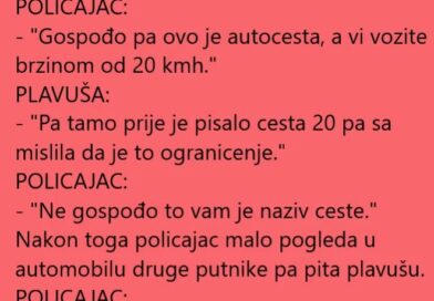 Policajac i plavusa