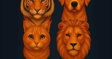 Kada instinkt spašava: Priča o trenutku koji je promenio sve