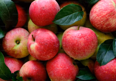 „Jedna jabuka dnevno: jednostavna navika sa snažnim benefitima za zdravlje“