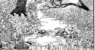 Možete li pronaći skriveno lice? Vizuelni izazov koji testira pažnju i percepciju