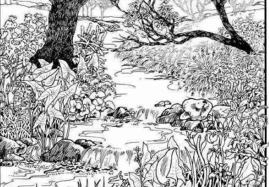 Možete li pronaći skriveno lice? Vizuelni izazov koji testira pažnju i percepciju