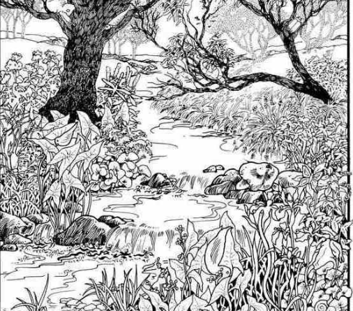 Možete li pronaći skriveno lice? Vizuelni izazov koji testira pažnju i percepciju