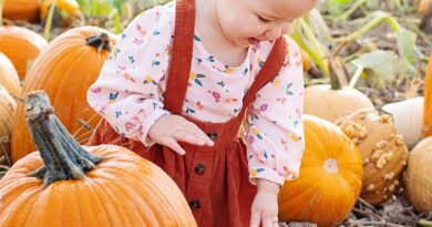 Zdravi napitak od bundeve: Prirodna podrška organizmu i praktični savjeti za svakodnevnu upotrebu