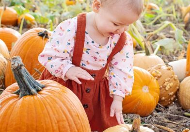 Zdravi napitak od bundeve: Prirodna podrška organizmu i praktični savjeti za svakodnevnu upotrebu