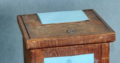 Vanredni parlamentarni izbori u Srbiji: šta znači prihvatanje studentskog zahtjeva i šta slijedi dalje