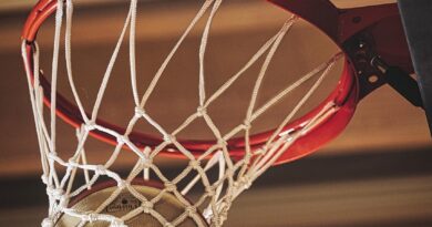 Urušavanje krova u dvorani Pinki u Beogradu: šta se desilo i zašto je važno govoriti o bezbednosti javnih objekata