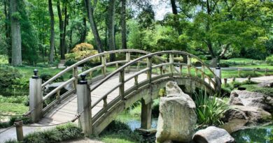Starica koja je svake noći kopala zemlju: tajna koja je promenila celo selo