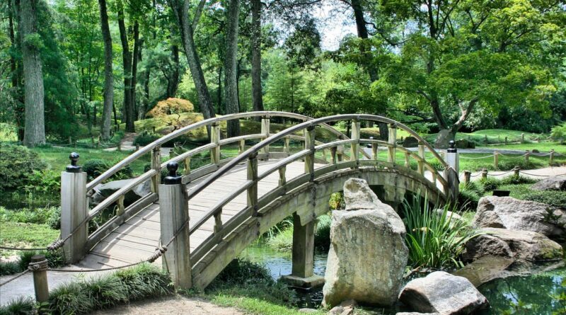 Starica koja je svake noći kopala zemlju: tajna koja je promenila celo selo Starica koja je svake noći kopala zemlju: tajna koja je promenila celo selo