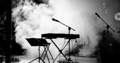 Zašto je otkazan koncert Aca Lukas na Jahorina: Uticaj jedne fotografije i reakcije javnosti