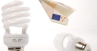 Hoće li cijena struje rasti od naredne sedmice i šta znači novi evropski mehanizam za građane i privredu