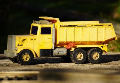 Čudo preživljavanja: kako je zanemarena mačka izbjegla siguran kraj i dobila novi život