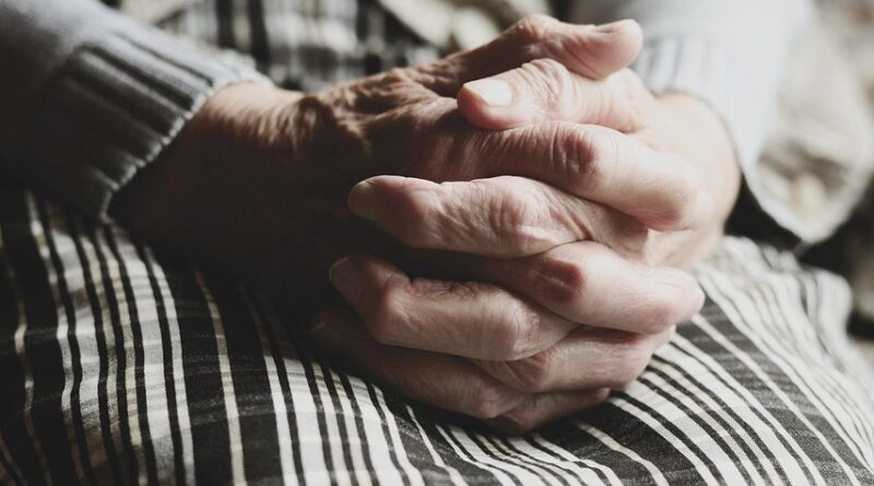 Kako ljubav i razumevanje mogu spasiti život: priča o baki i šumskom mačku Kako ljubav i razumevanje mogu spasiti život: priča o baki i šumskom mačku