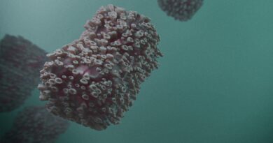 Norovirus se širi pred praznike: simptomi, rizici i kako se zaštititi na vrijeme