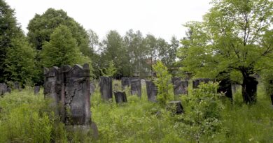 Istina koja mijenja život: Priča o gubitku, tajnama i novom početku