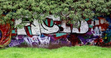 Incident u Podgorici otvara pitanja kulture sećanja i odgovornosti institucija