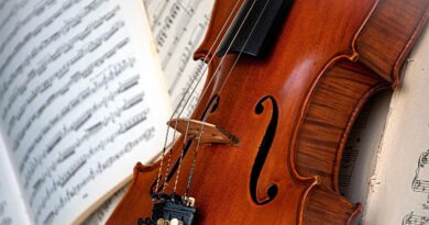 Ljubav i muzika u savremenom svijetu: Priča o Marku Miloševiću i Kseniji