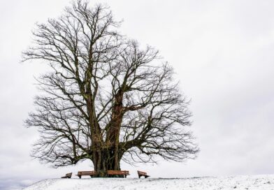 Kako pripremiti dom za uspješnu 2026. godinu: Praktični koraci za svjež početak Kako pripremiti dom za uspješnu 2026. godinu: Praktični koraci za svjež početak