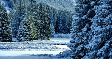 Sneg i led stižu u Srbiju: Kada počinje prava zima i šta nas očekuje