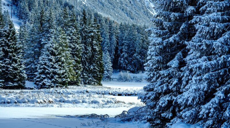 Sneg i led stižu u Srbiju: Kada počinje prava zima i šta nas očekuje