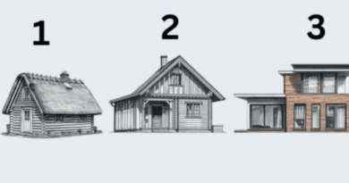 Test ličnosti: Koju kuću biste izabrali i šta taj izbor govori o vama