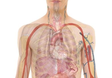 Tijelo ti šalje signale: Evo šta znače najčešći simptomi Tijelo ti šalje signale: Evo šta znače najčešći simptomi